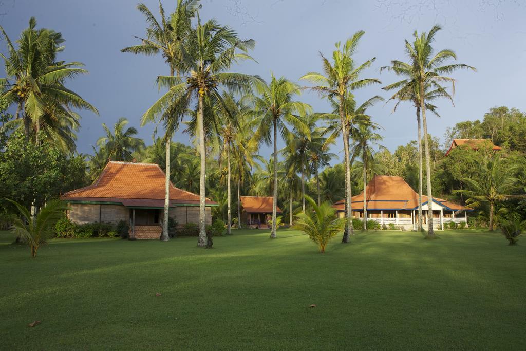 Desa Limasan Resort Kalak Zewnętrze zdjęcie
