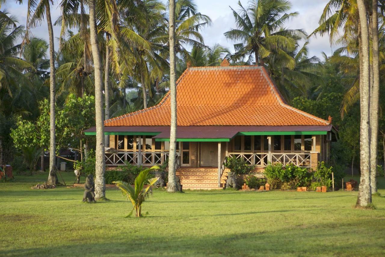 Desa Limasan Resort Kalak Zewnętrze zdjęcie